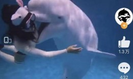 枫丹潜水员爆料视频,水下世界奇观首次曝光