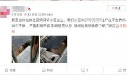 爆料养鸡套路视频大全,养鸡套路视频大全深度解析